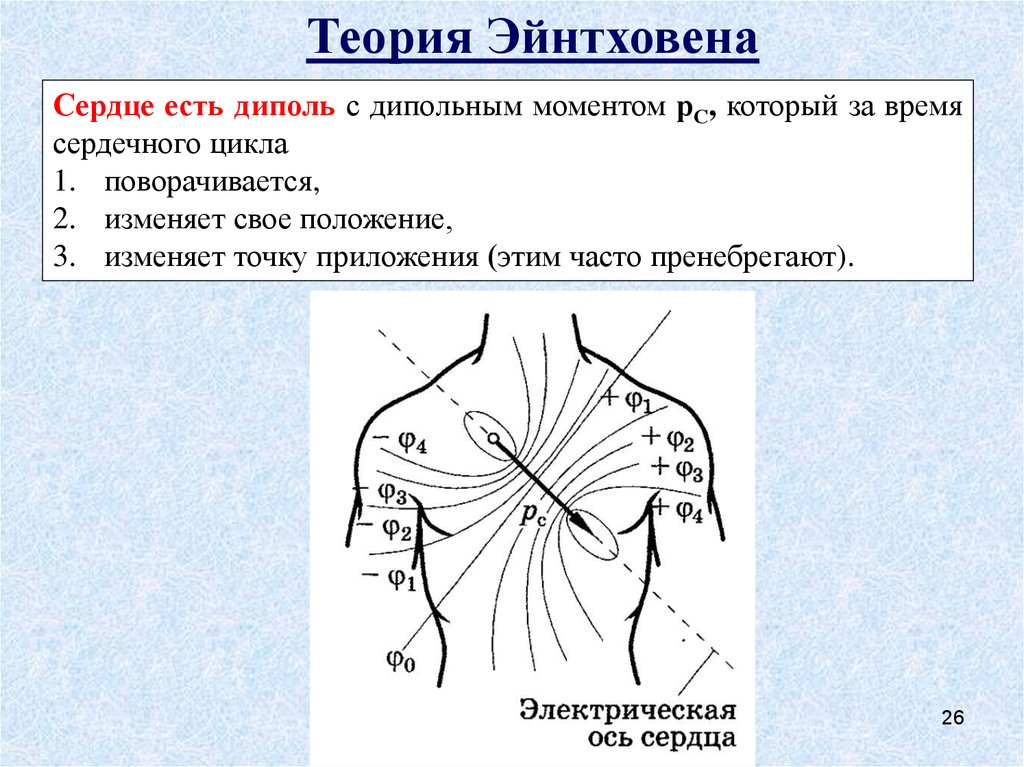 Поле сердца