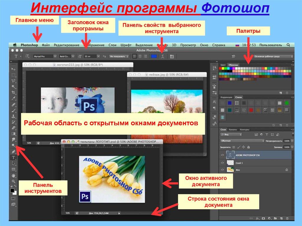 Фотошоп русский программа. Adobe Photoshop окно программы. Рабочее окно программы Adobe Photoshop. Adobe Photoshop Интерфейс. Интерфейс программы Adobe Photoshop.