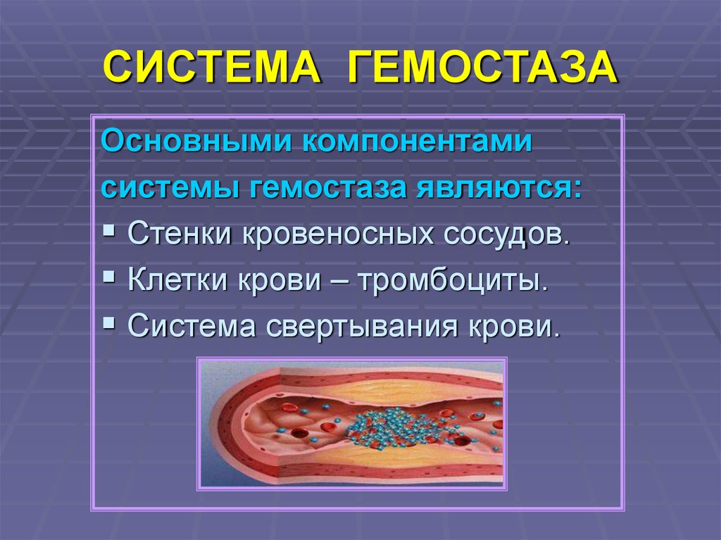 Система гемостаза презентация