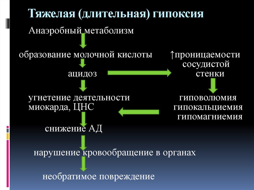 Гипоксия ишемия. Патогенез гипоксии. Механизм развития гипоксии. Внутриутробная гипоксия плода патогенез.