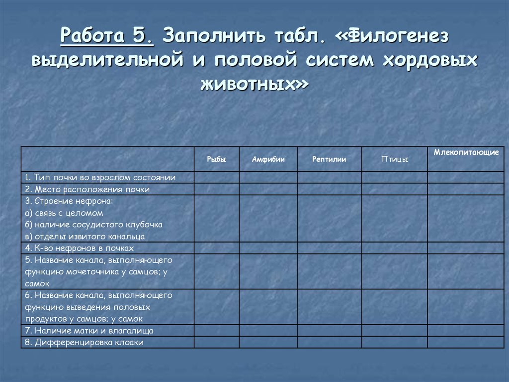 Филогенез выделительной системы презентация