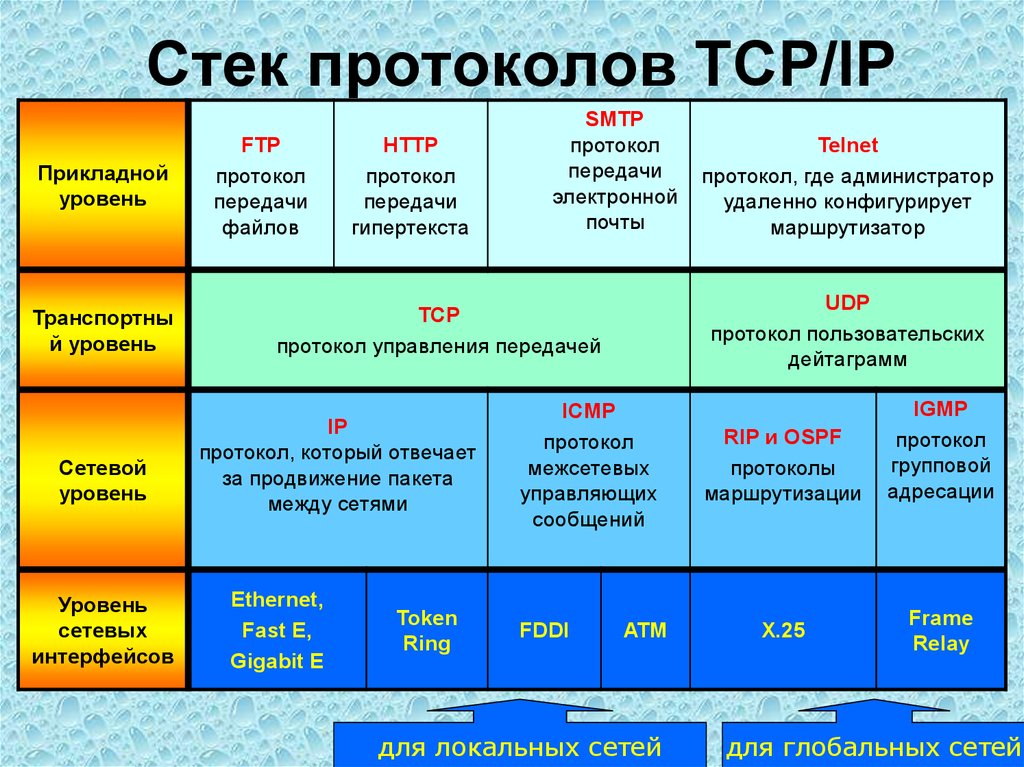 Архитектура компьютерных сетей tcp ip