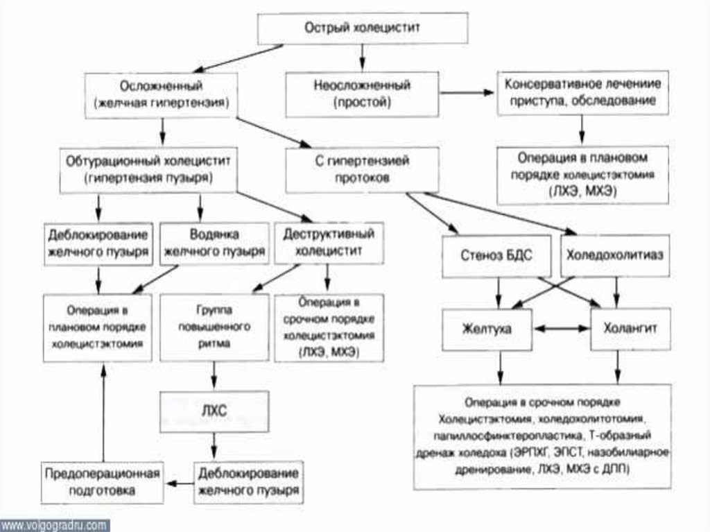 Лечение холецистита схема