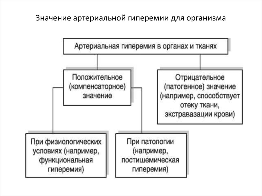 Виды гиперемии схема