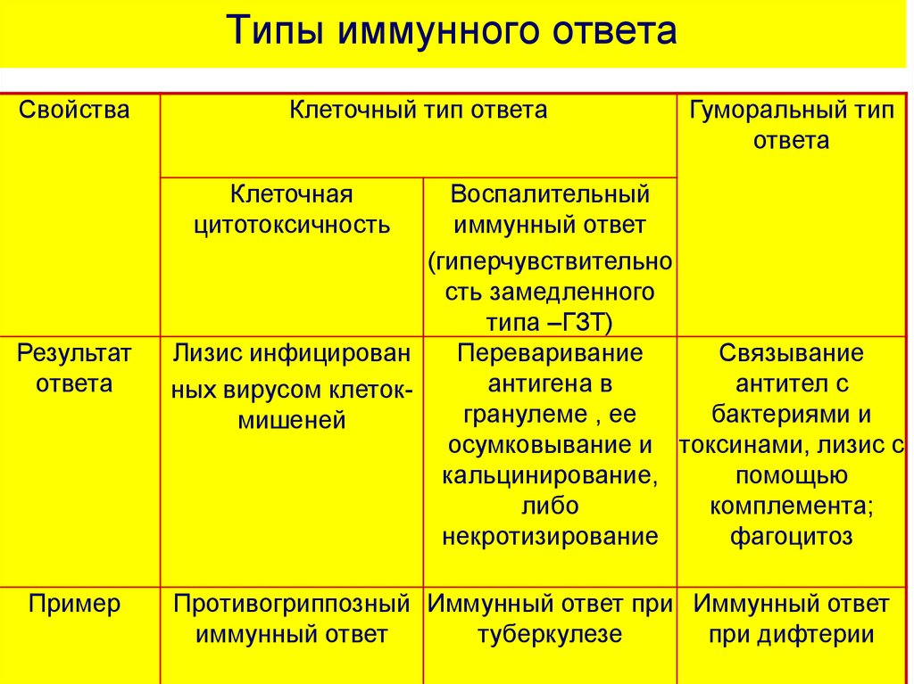 Виды иммунного ответа схема