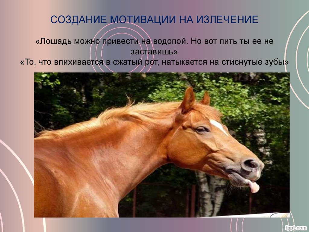 СОЗДАНИЕ МОТИВАЦИИ НА ИЗЛЕЧЕНИЕ «Лошадь можно привести на водопой. Но вот пить ты ее не заставишь» «То, что впихивается в сжатый рот, натыка