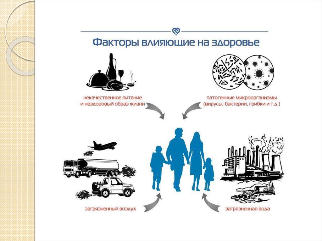 Реферат: Влияние социально-экологических факторов на здоровье человека