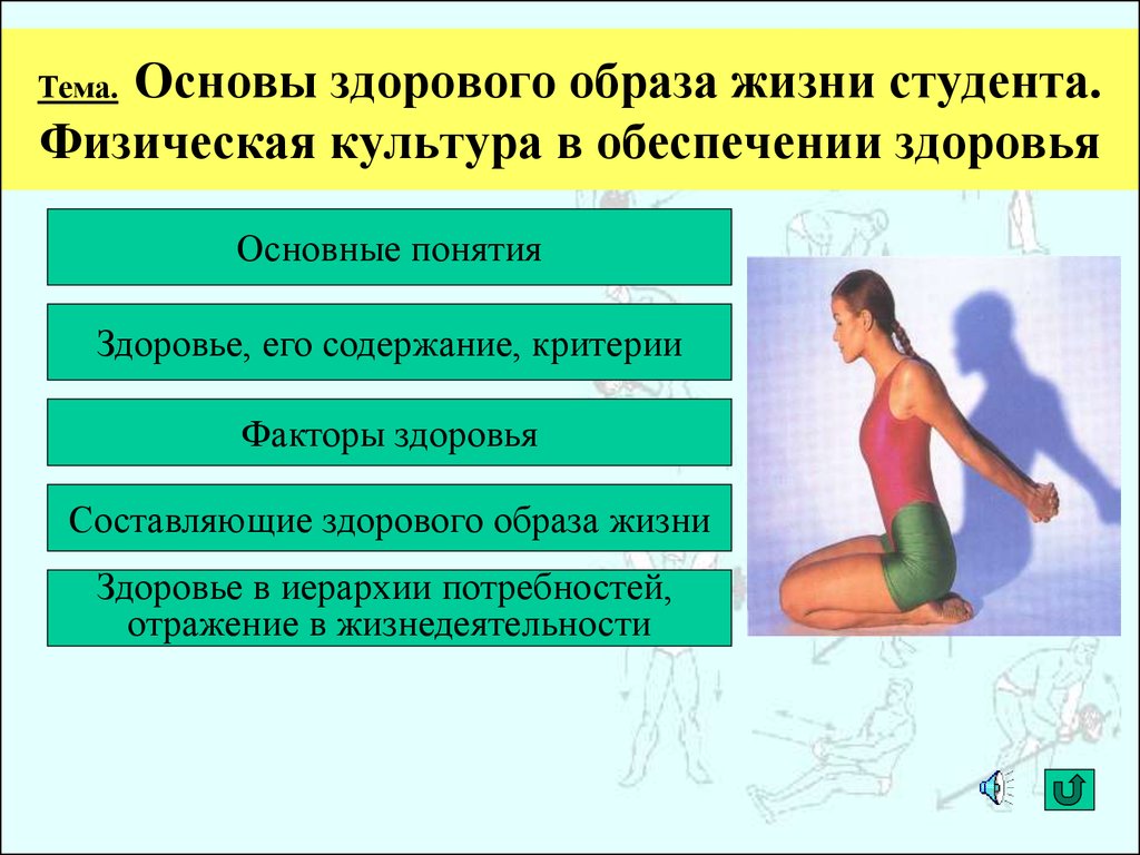 Реферат на тему основы здорового образа жизни. Основы здорового образа жизни. Основы здорового образа жизни студента. Физическая культура в обеспечении здоровья. Основы здорового образа образа жизни студента.