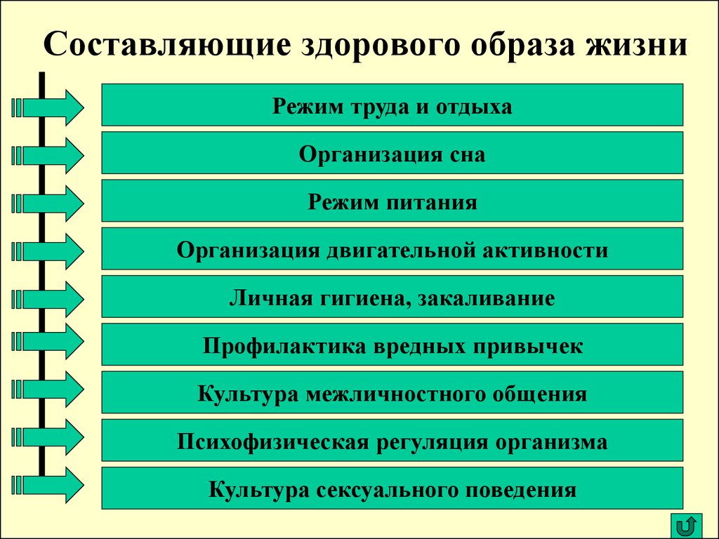 Реферат На Тему Здоровый Образ Жизни И Физическая Культура