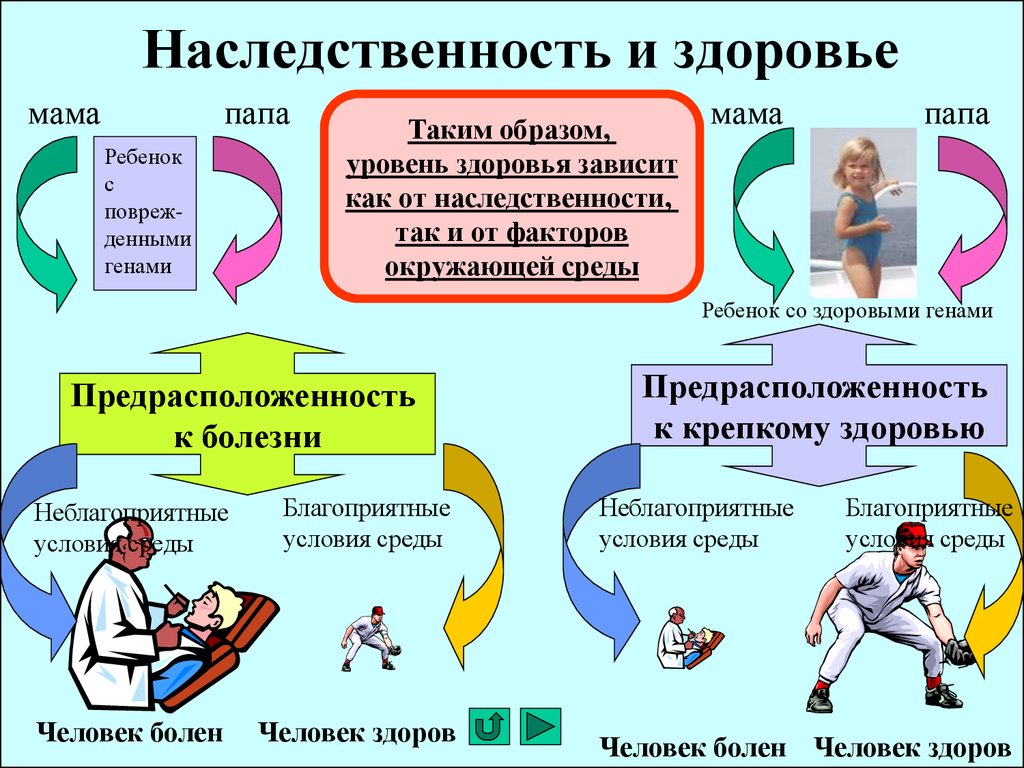 Качество жизни человека зависит от многих факторов составьте план