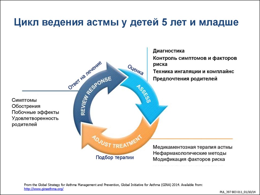 Терапия астмы. Ступенчатая терапия бронхиальной астмы у детей старше 5 лет. Терапия бронхиальной астмы у детей до 5 лет. Цикл контроля бронхиальной астмы. Астма симптомы у детей 5 лет.