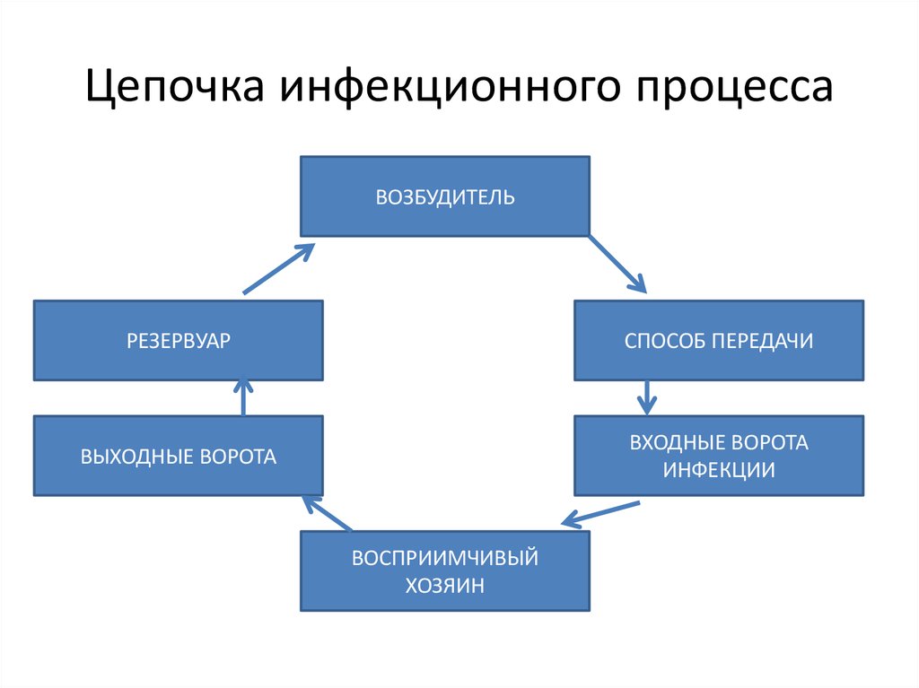 Структура вби схема