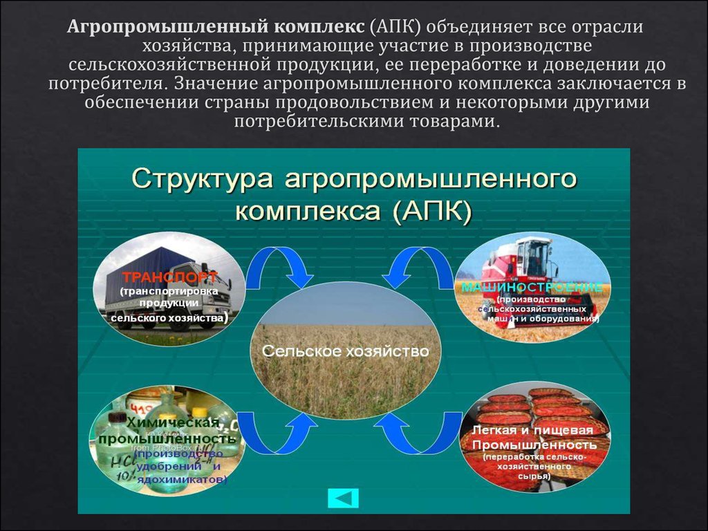 Какие есть промышленности в россии. Отрасли экономики. Агропромышленный комплекс России. Важные отрасли экономики. Отрасли агропромышленного комплекса.