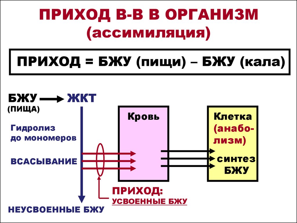 Обмен веществ между оболочками