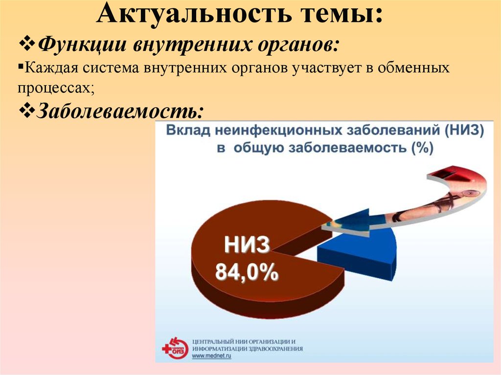 Орган участвующий в процессе. Актуальность органа. Вклад в термопродукцию внутренних органов. Основными характеристиками внутренних процессов организма являются?.