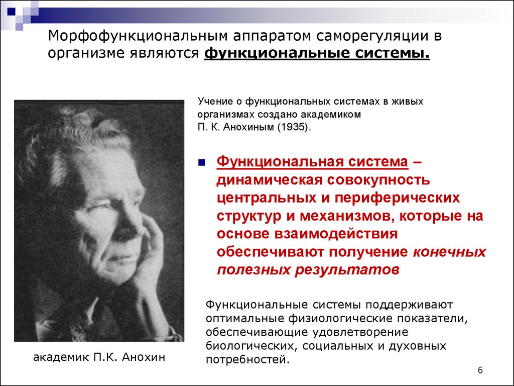 Автор теории функциональных систем. Учение п.к. Анохина о функциональных системах. Учение Анохина о функциональных системах и саморегуляции. Учение о функциональных системах Анохин физиология. П.К. Анохина о функциональных системах и саморегуляции функций.