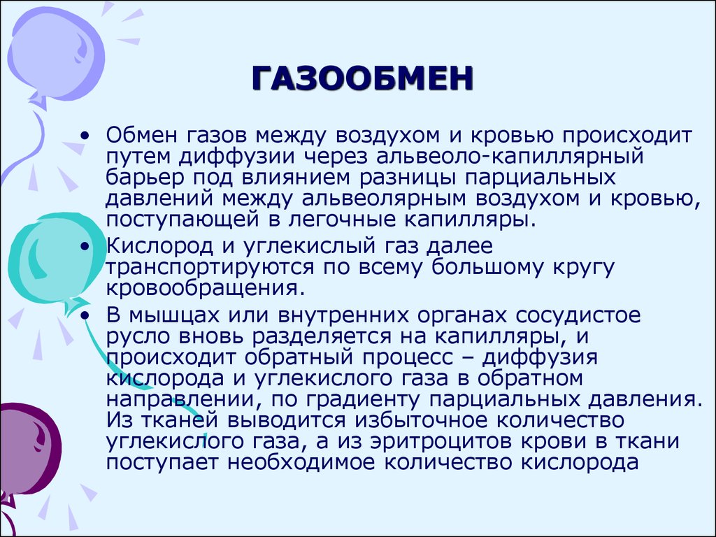 Обмен газов происходит. Газообмен между воздухом и кровью. Газообмен между кровью и атмосферным воздухом происходит в. Газообмен между альвеолярным воздухом и кровью. Обмен газов между воздухом и кровью.