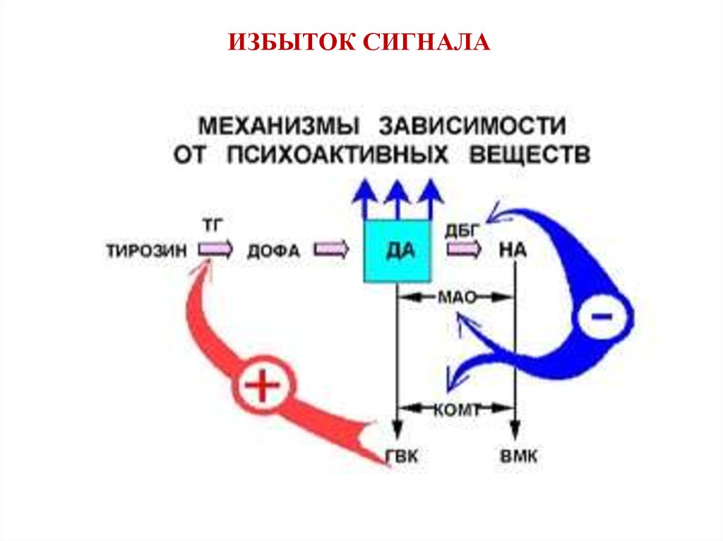 Механизм сигналов. Механизм действия зависимости. Схема физиологический механизм формирования зависимости. Механизм действия психоактивных веществ. Механизмы зависимости от психоактивных веществ схема.