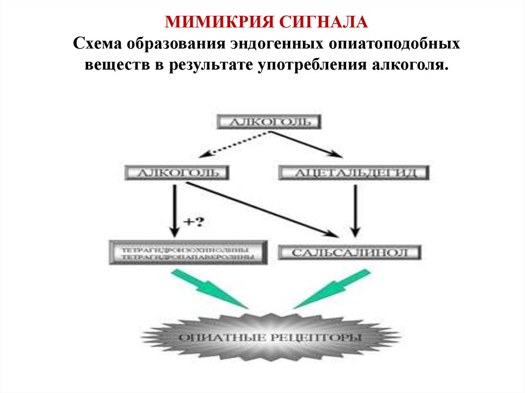 Схема образования онлайн