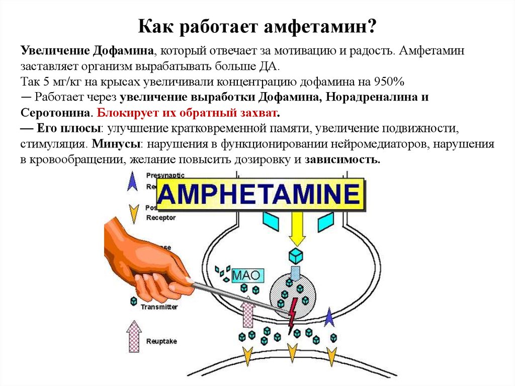 Дофамин как повысить уровень в организме