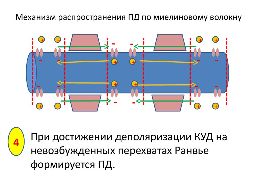 Механизм распределения