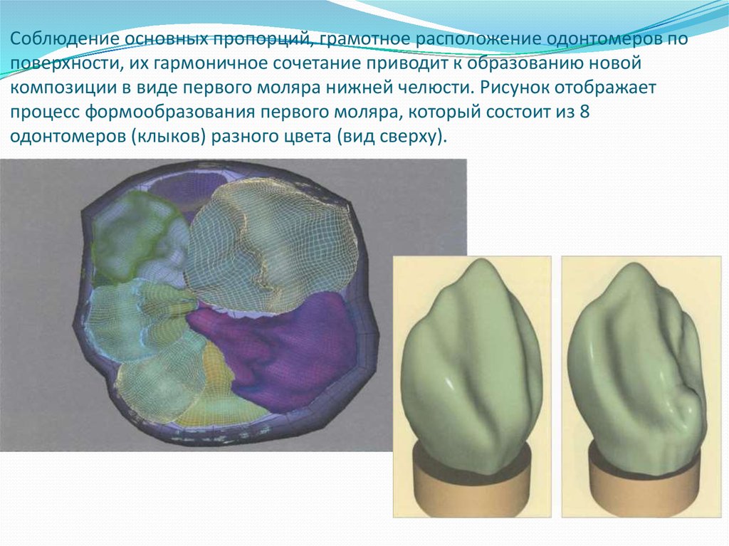 Материалы для пломбирования кариозных полостей. Пломбирование полостей 5 класса по Блэку. Формообразование это в анатомии. Материалы для пломбирования 1 класса по Блэку. Формирование полости 1 класса моляра нижней челюсти.