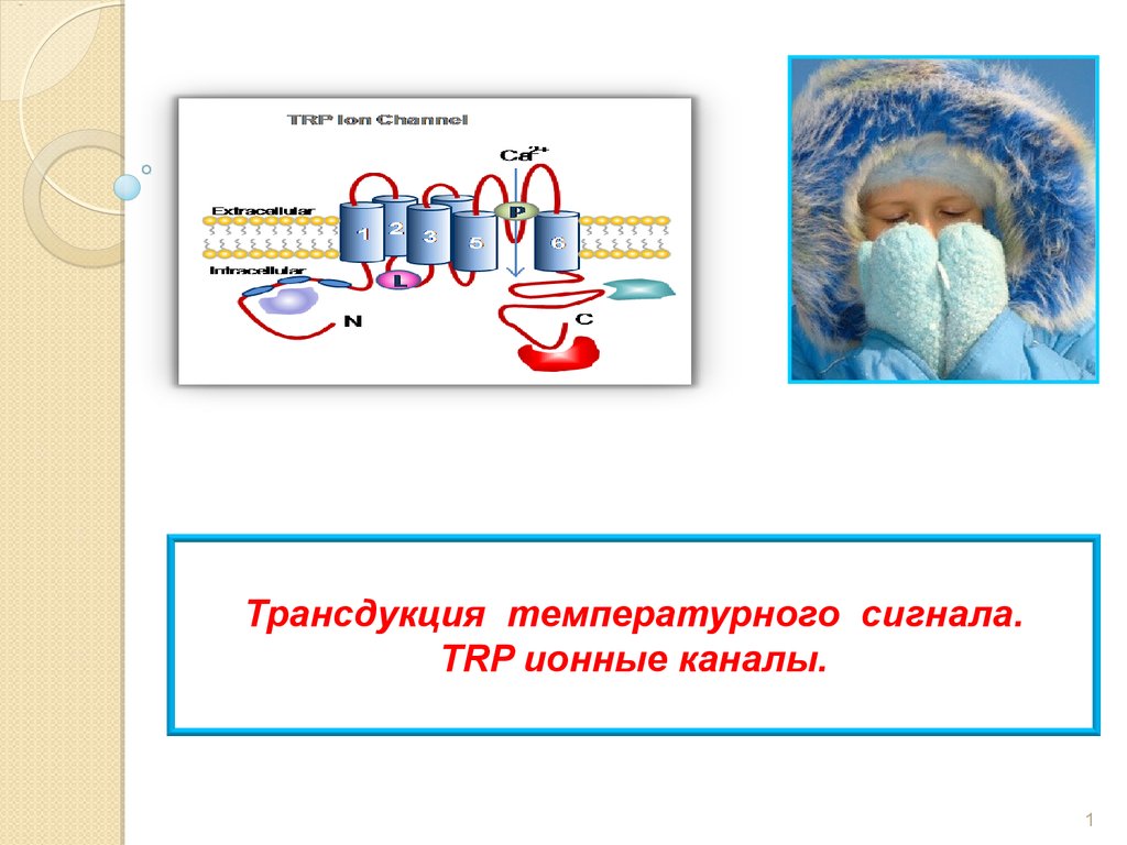 Первый канал презентация