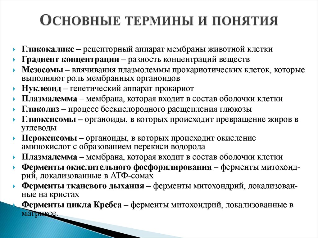 Все термины