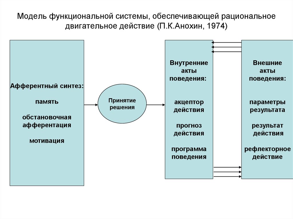 Функциональное действие. Функциональная модель системы. Функциональность системы это.