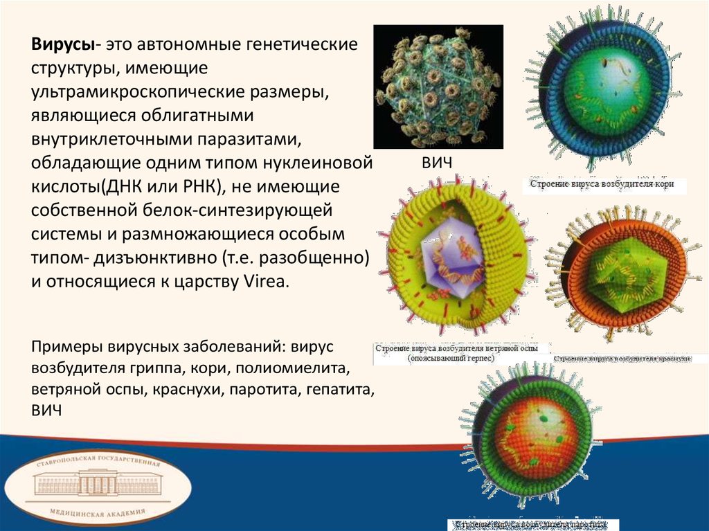 Вирус возбудителя кори