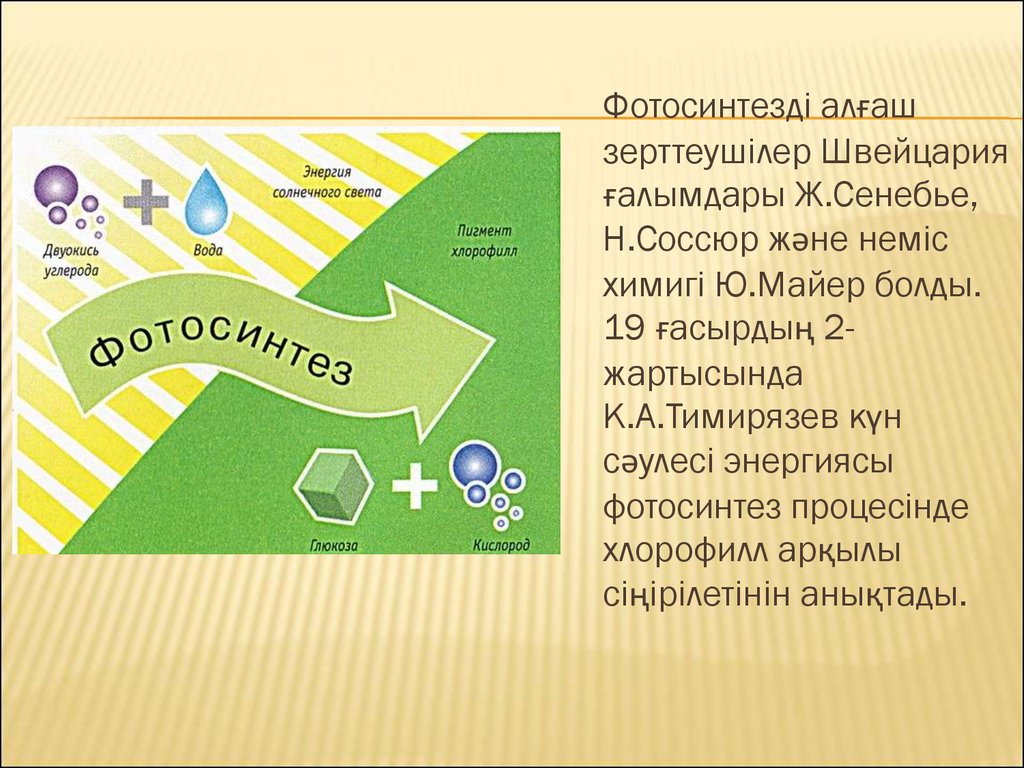 Фиксация хлорофиллом солнечной энергии. Фотосинтез. Фотосинтез презентация. Фотосинтез дегеніміз не. Майер фотосинтез.