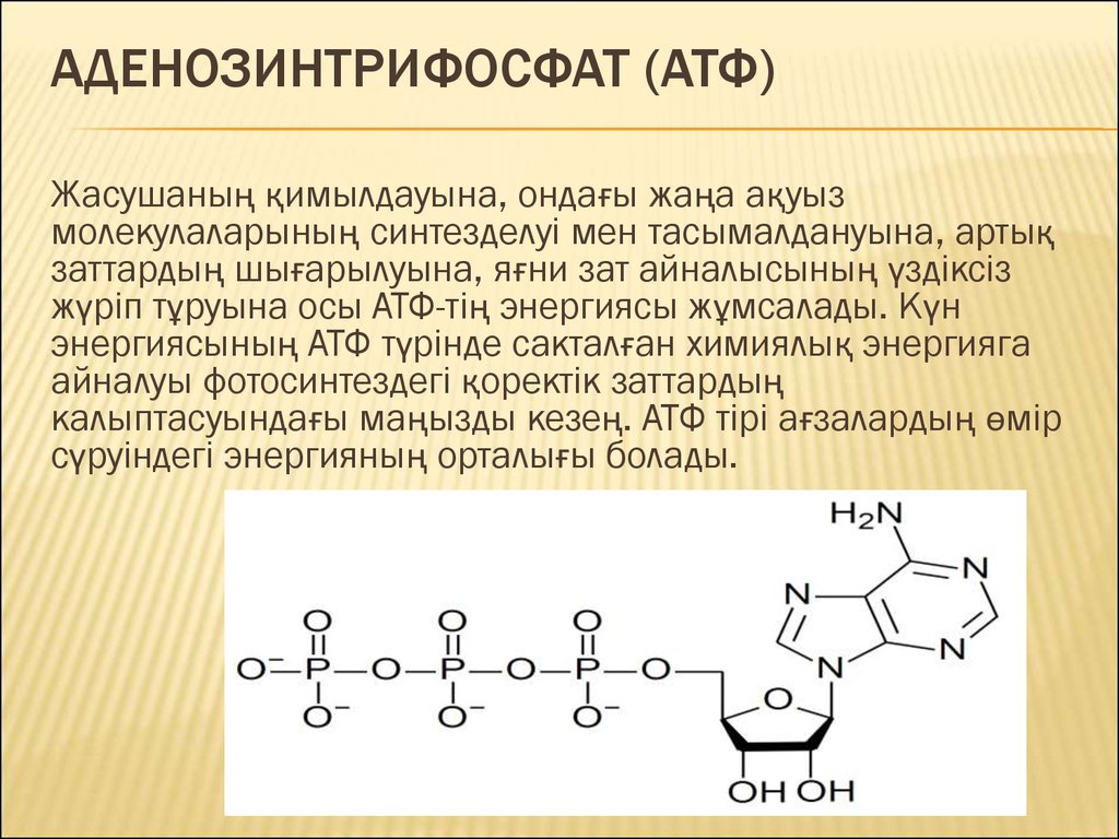 Атф запасание энергии. Формула АТФ биология. Молекула АТФ аденозин. АТФ структура устойчивость. Химическая формула аденозинтрифосфата.