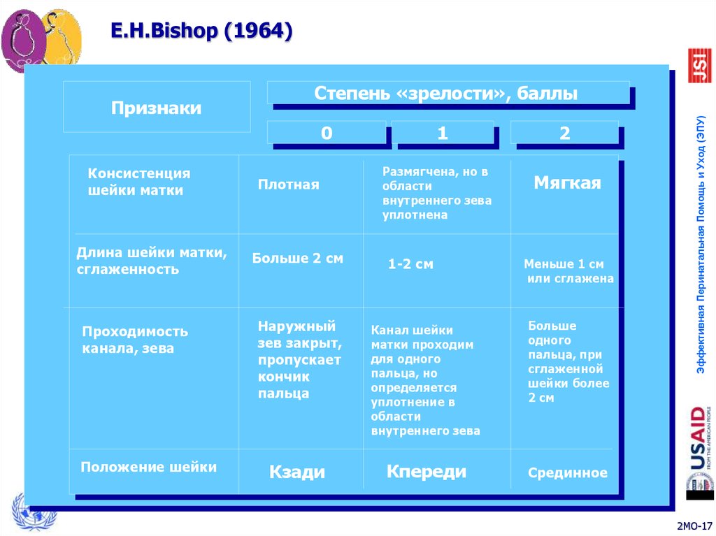 E.H.Bishop (1964)