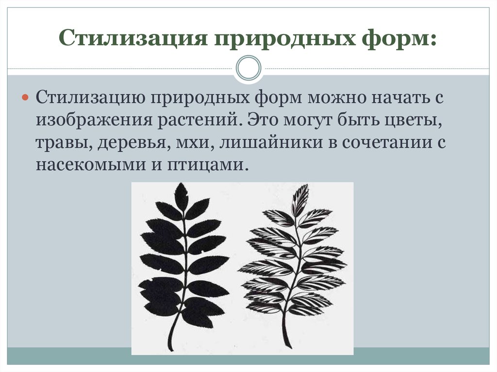 Природный образец. Стилизация природных форм. Основы стилизации. Методы стилизации. Черты стилизации.