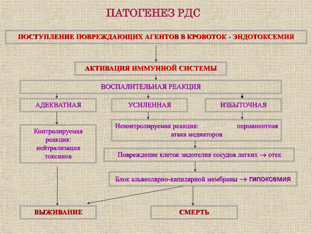 Система воспаления