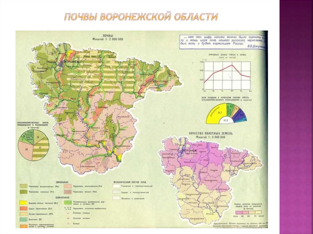Почвы воронежской области