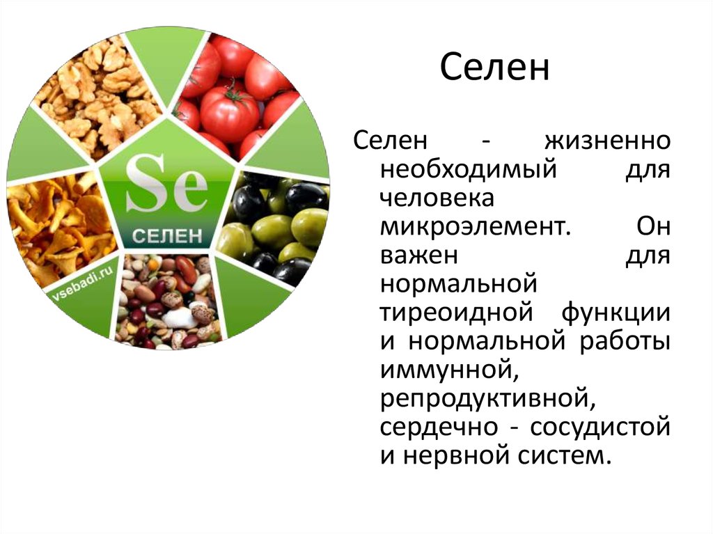 Селен для организма. Селен микроэлемент его роль в организме. Селен в организме человека. Микроэлемент селен для организма.