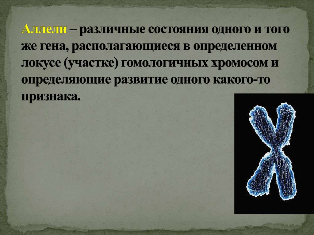 Группа генов расположенных в одной хромосоме. Аллельные хромосомы. Аллель определение. Аллель это в биологии.