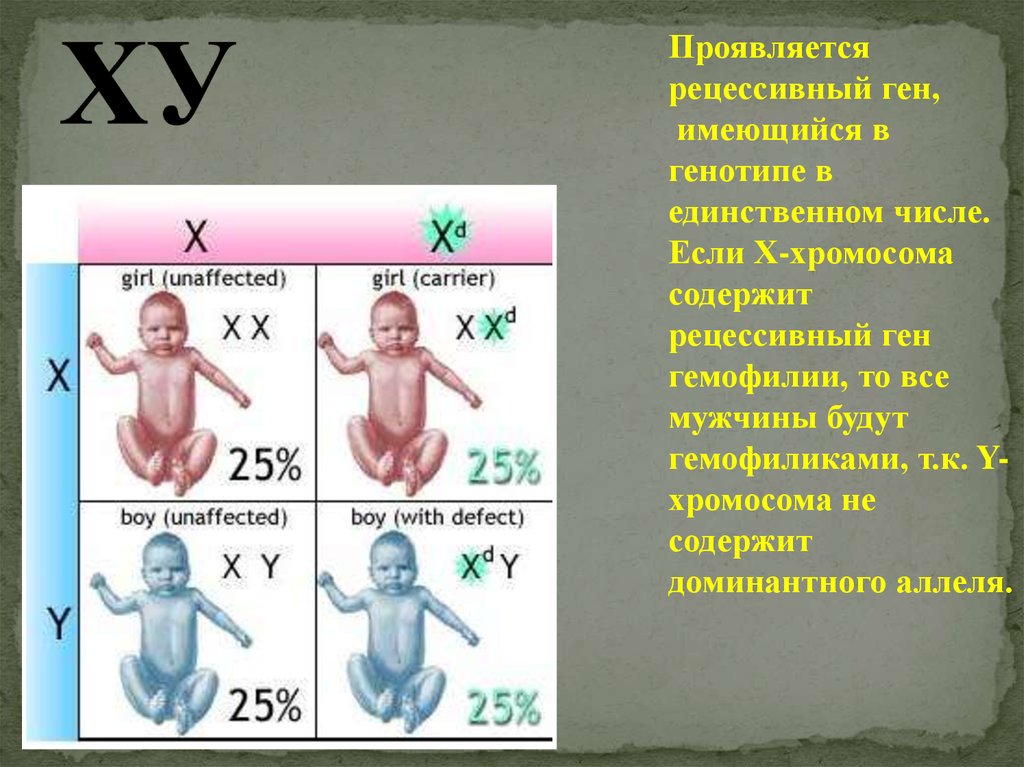 Взаимодействие и множественное действие генов генотип