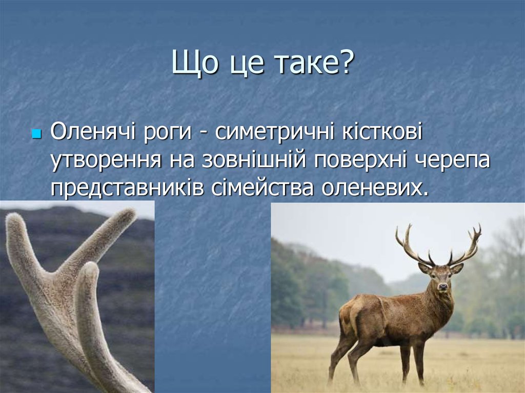 Що це таке?
