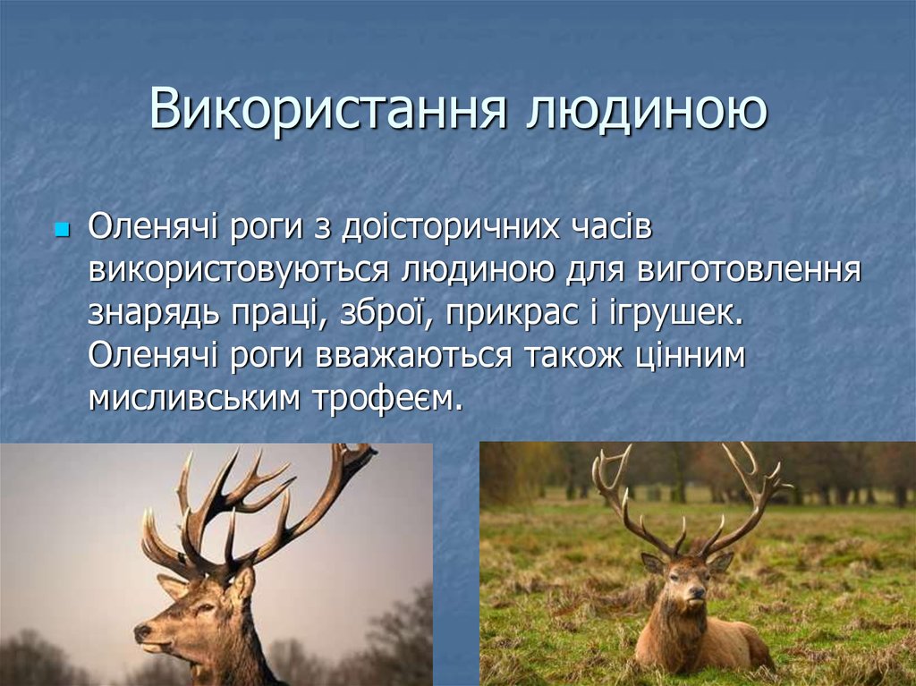 Використання людиною