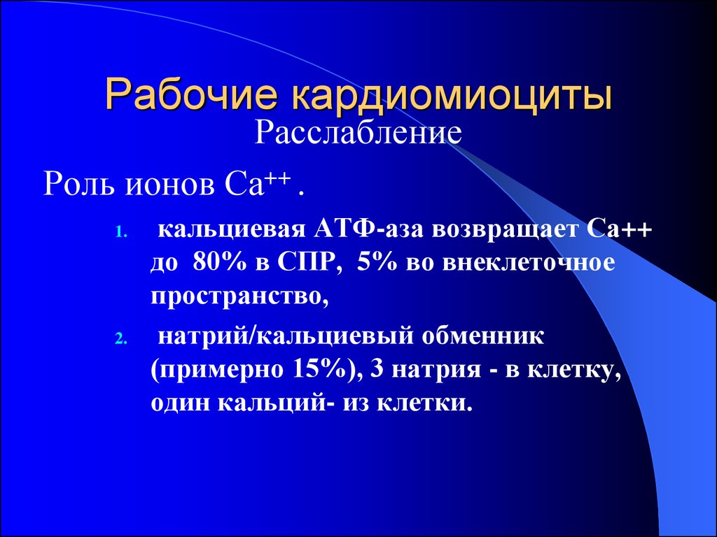 Кардиомиоциты. Рабочий кардиомиоцит. Рабочие клетки кардиомиоциты. Рабочие кардиомиоциты функция.