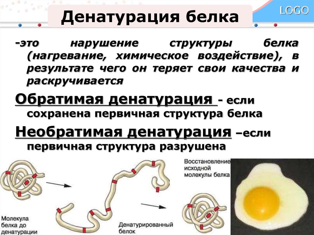 Процессы денатурации белков