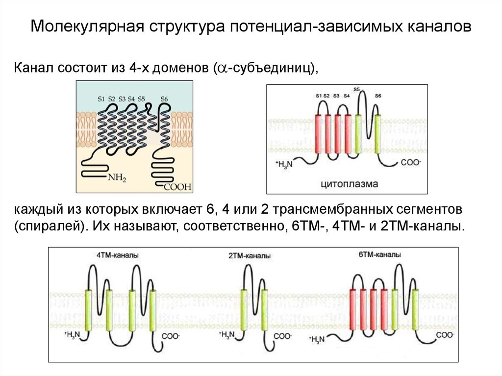 Структура потенциала