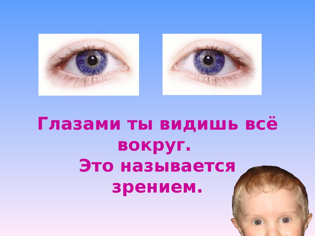 Органы чувств глаза 9 класс. Чувство зрения как называется. Глаза тебя видят.