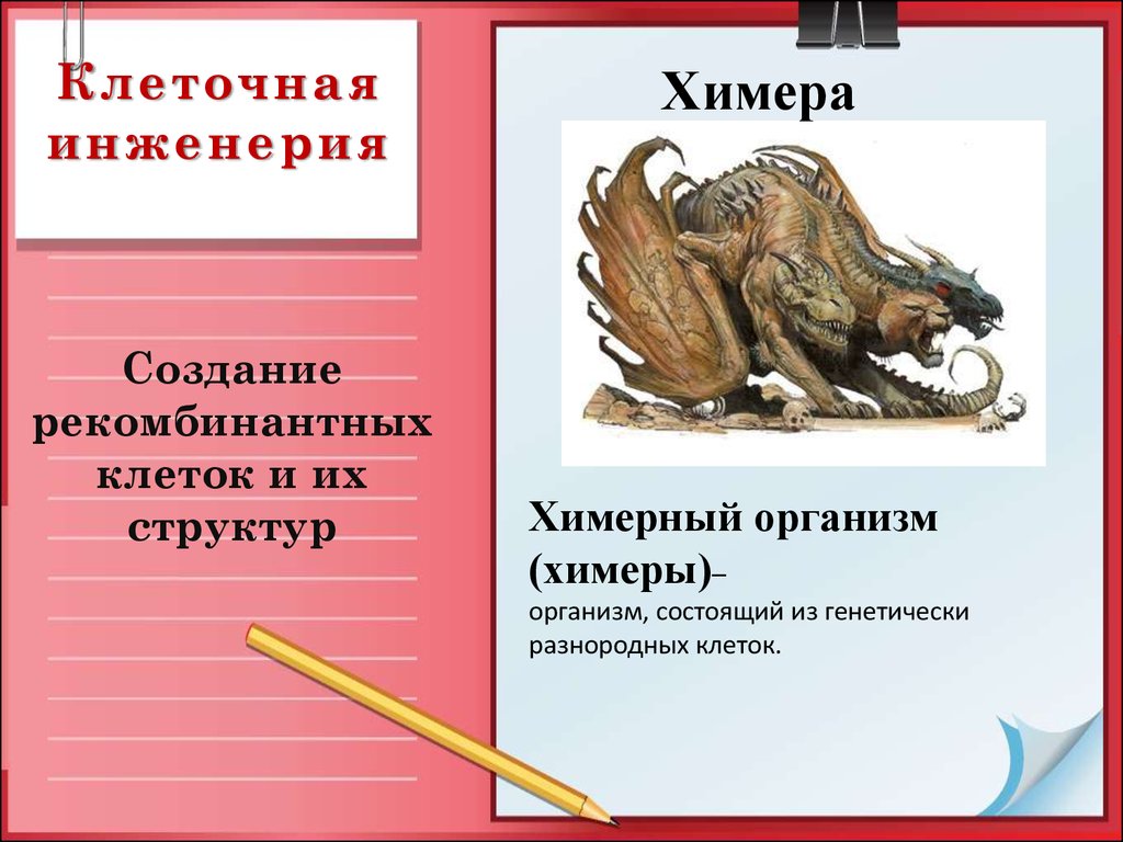 Химера биология. Организмы химеры. Химерные животные презентация. Химеры клеточная инженерия. Химерные и трансгенные организмы.