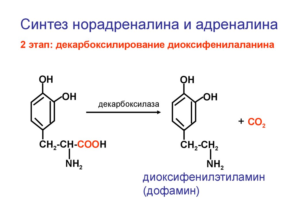 Адреналин образуется. Реакция образования норадреналина. Дофа дофамин реакция. Норадреналин синтезируется из аминокислоты. Тирозин 3,4 диоксифенилаланин.