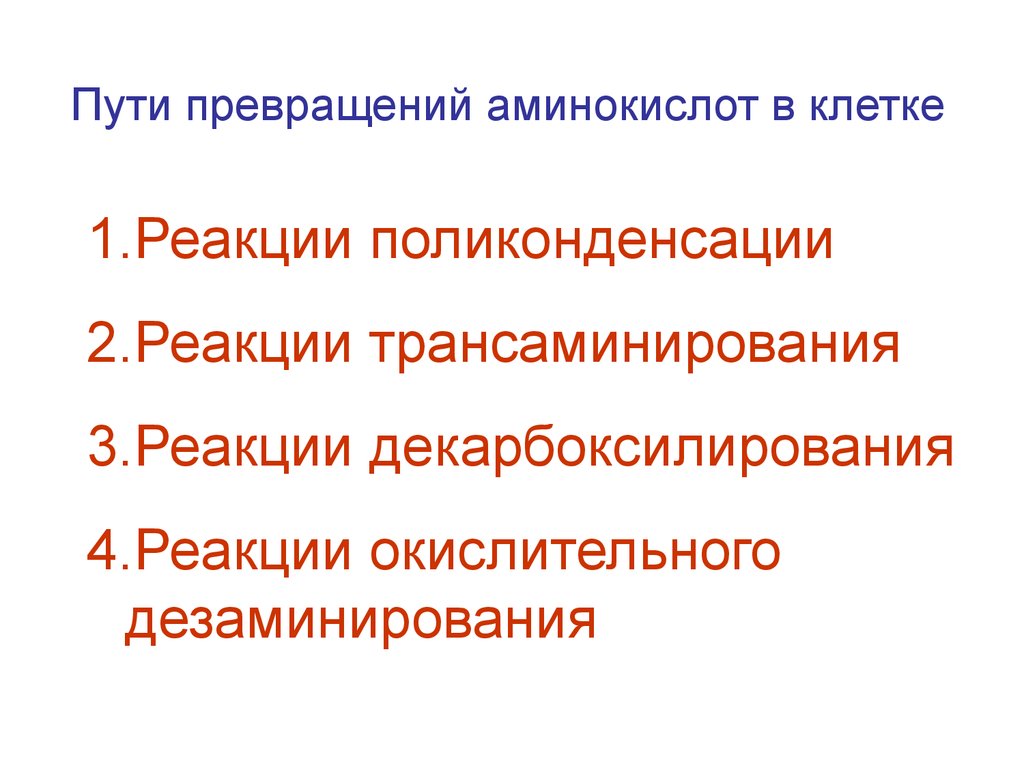 Путь трансформации. Пути преобразования аминокислот в клетке. Путь превращения.