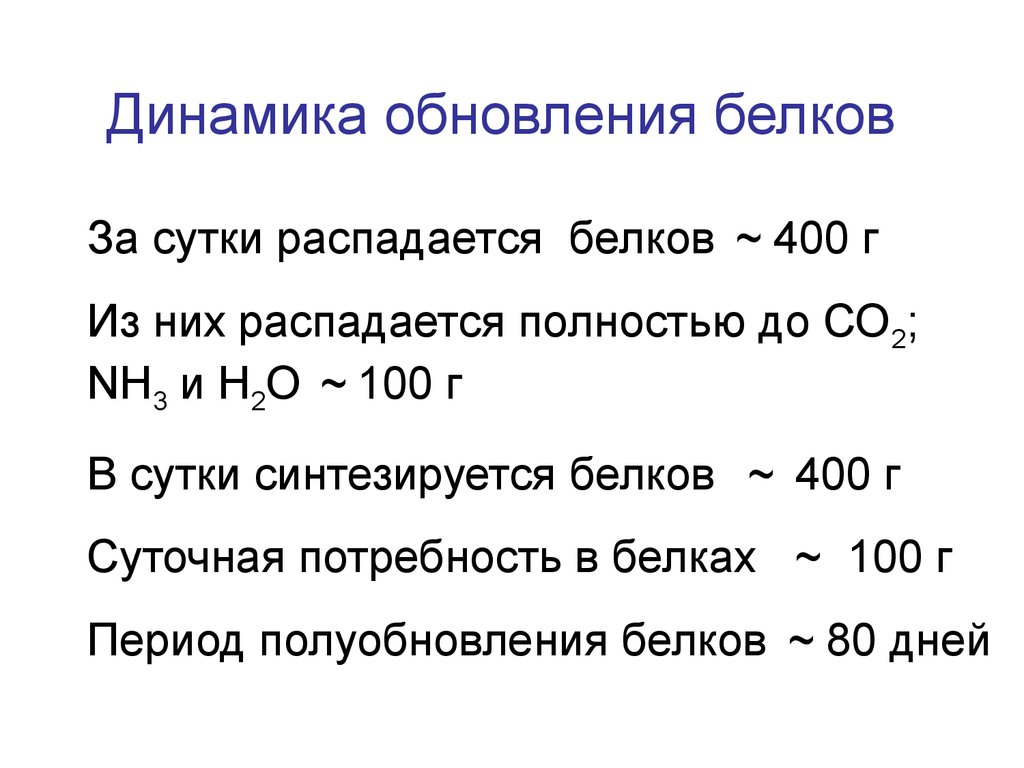 Период обновления. Динамическое состояние белков в организме биохимия. Обновление белков. Обновление белков в организме человека. Динамическое состояние белков в организме катепсины.