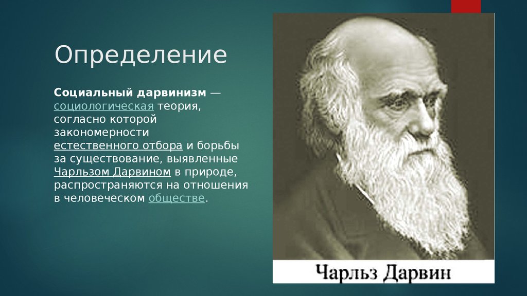 Современный социал дарвинизм. Чарльз Дарвин дарвинизм. Социальный дарвинизм. Теория социал дарвинизма. Социальный дарвинизм Спенсера.